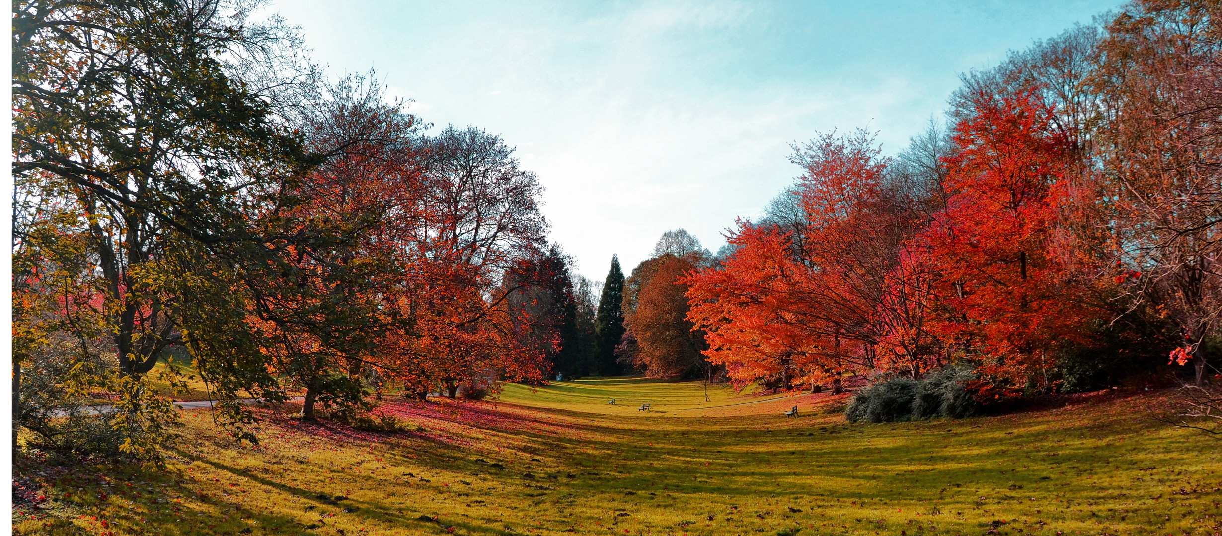 Rombergpark-Dortmund