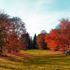 Rombergpark-Dortmund