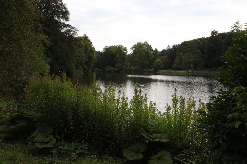 Rombergpark Dortmund