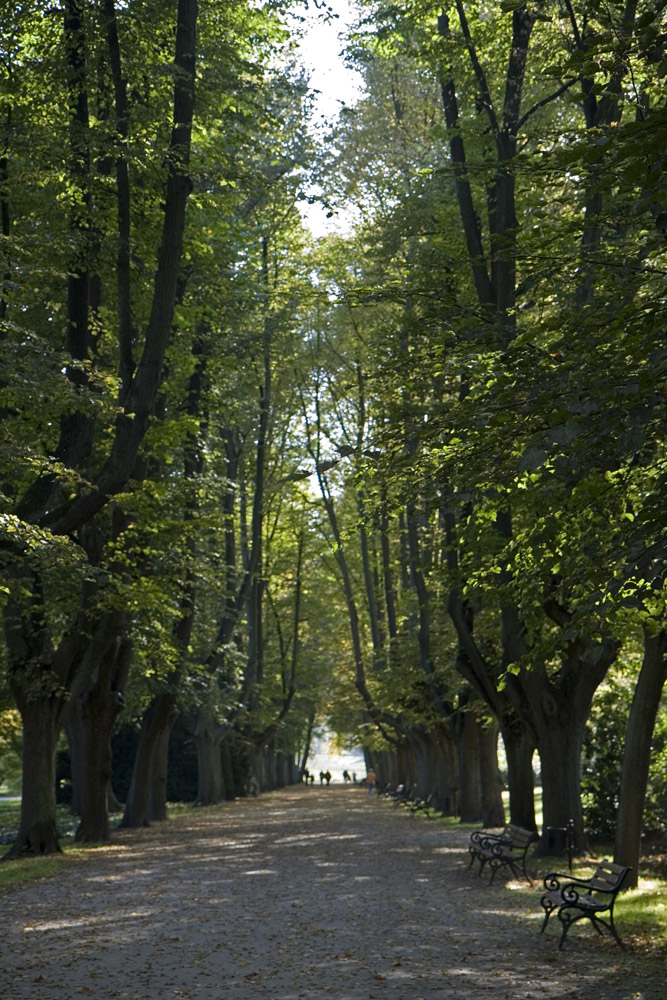 Rombergpark, Dortmund