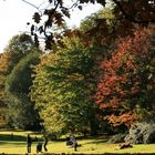 Rombergpark Dortmund