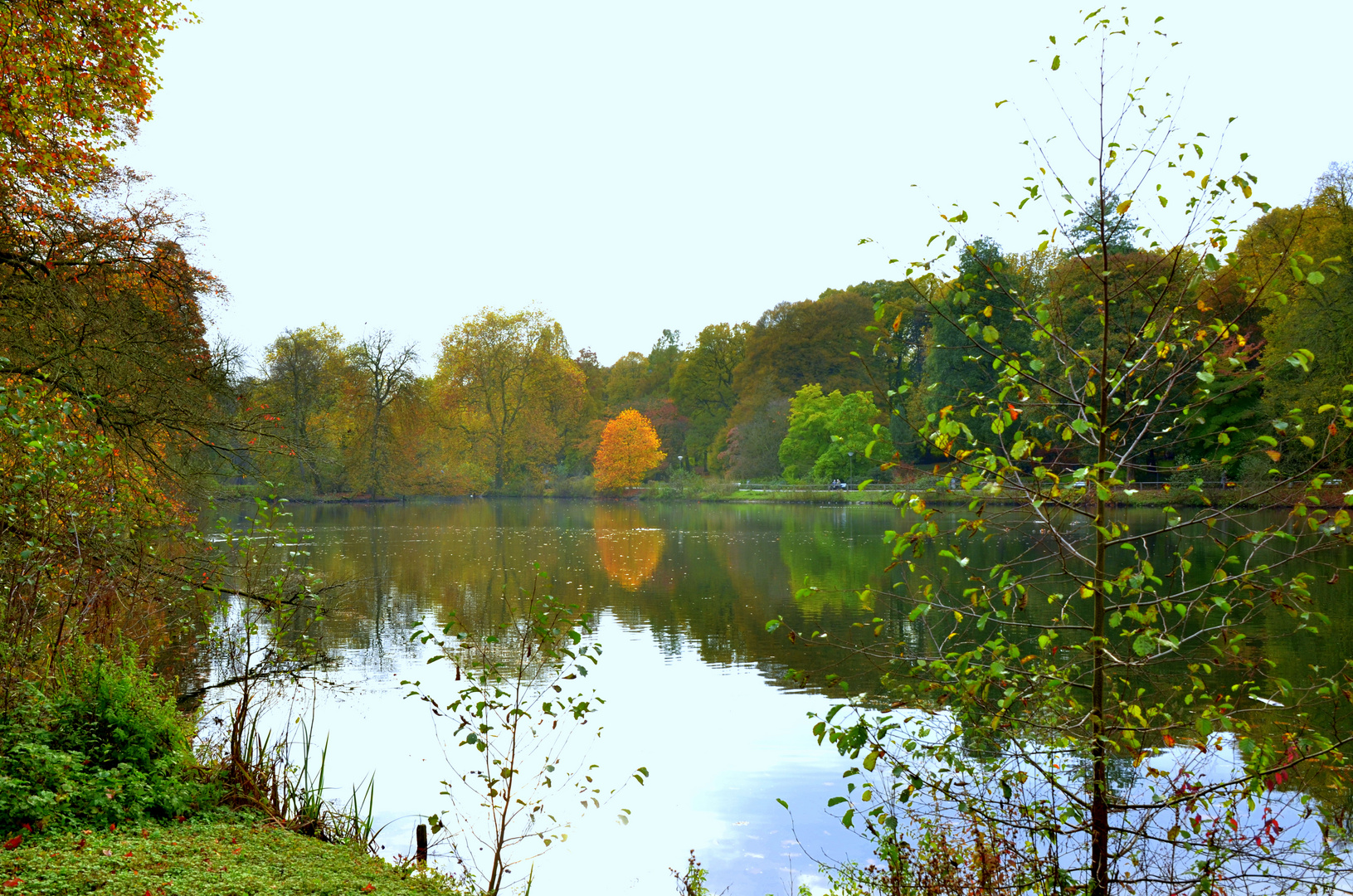 Rombergpark Dortmund