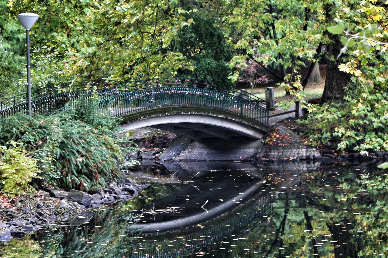 Rombergpark Dortmund 