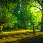 Rombergpark Dortmund - Morgenspaziergang