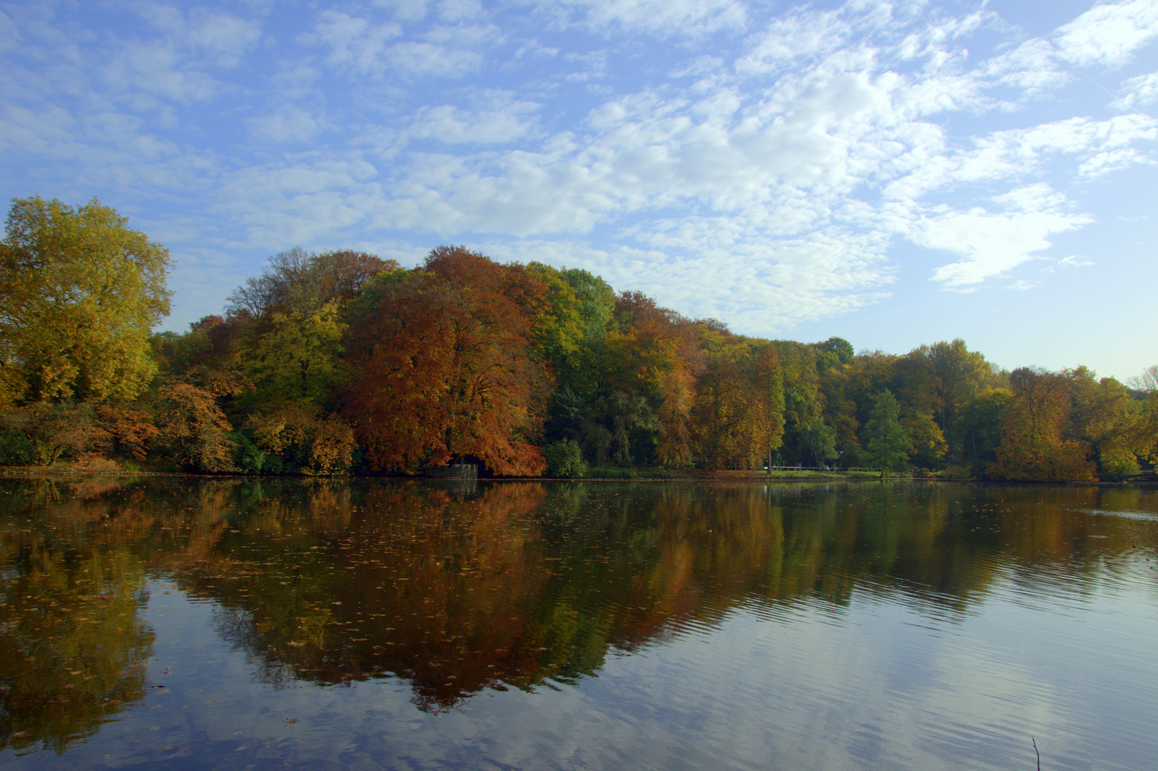 Rombergpark im Herbst