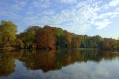 Rombergpark im Herbst