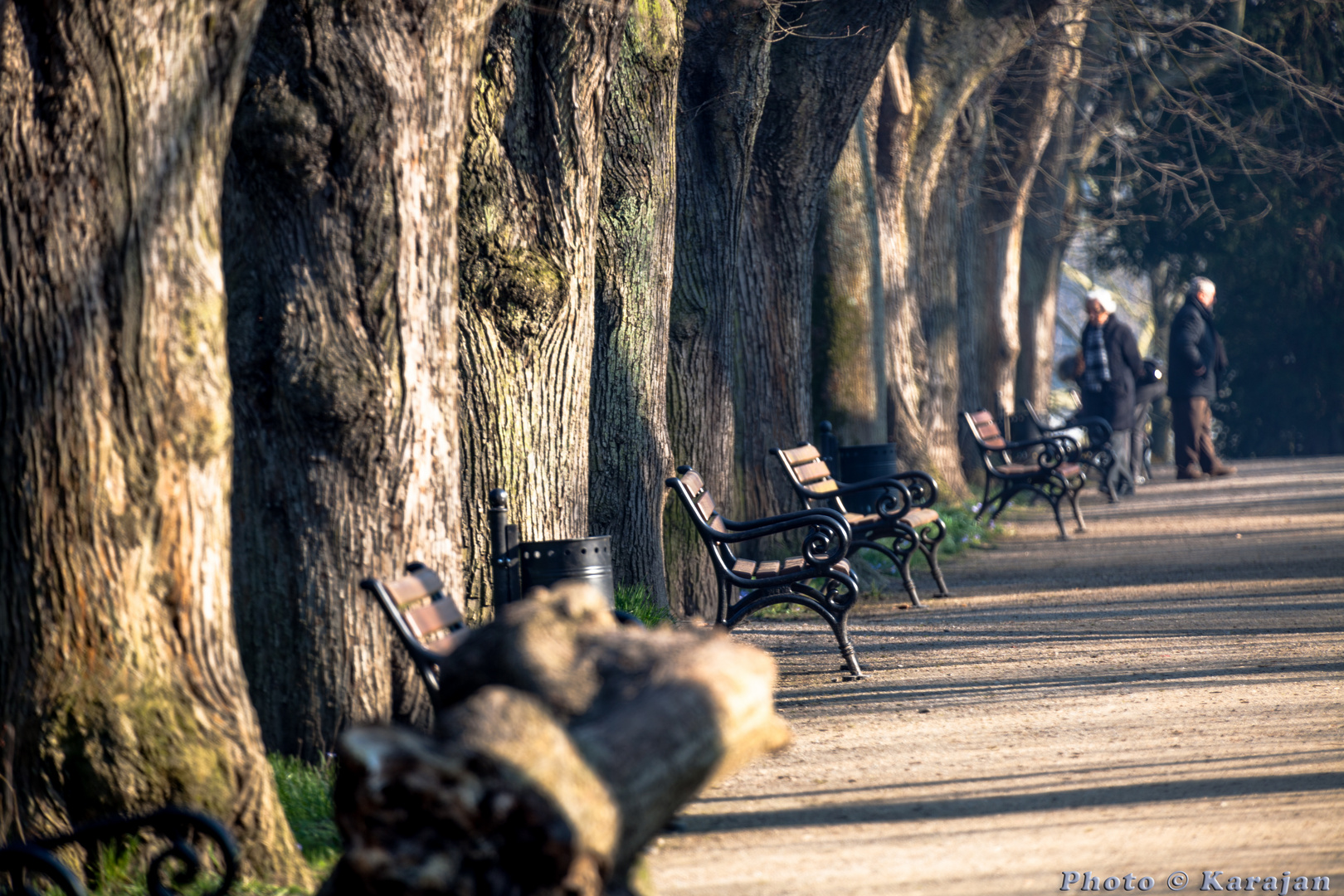 Rombergpark in Dortmund