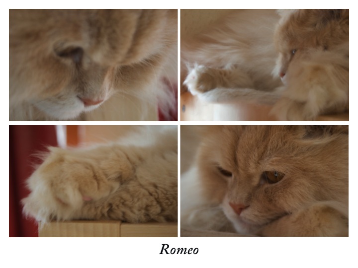 Romeo 2