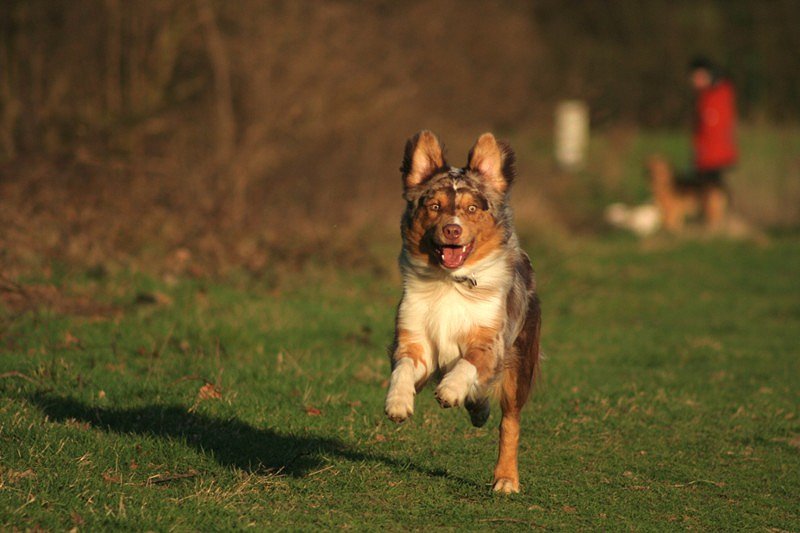 Romeo - der Sonne entgegen