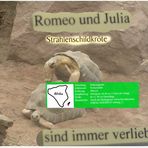 Romeo und Julia