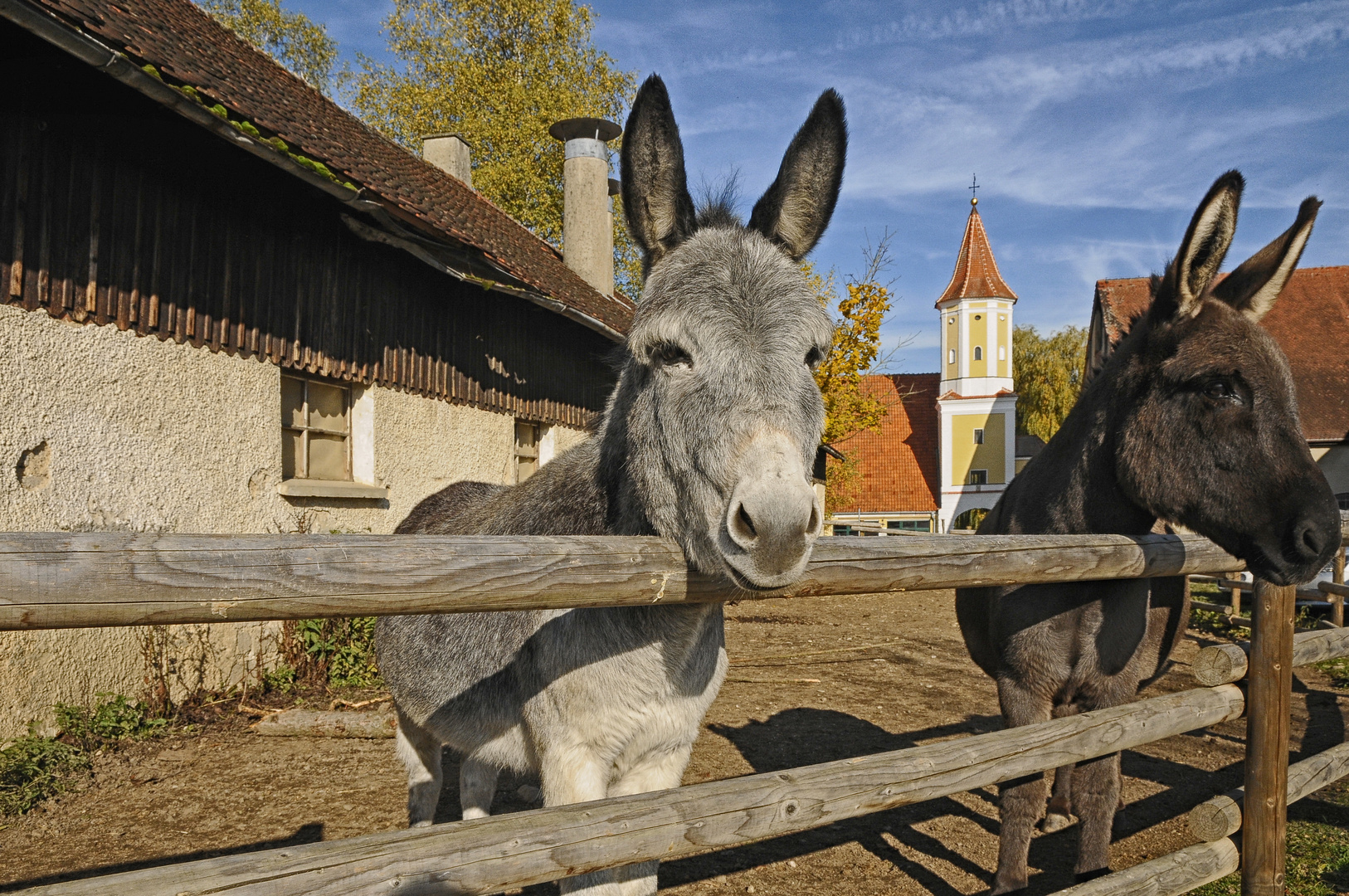 Romeo und Julia in Bayern