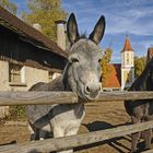 Romeo und Julia in Bayern