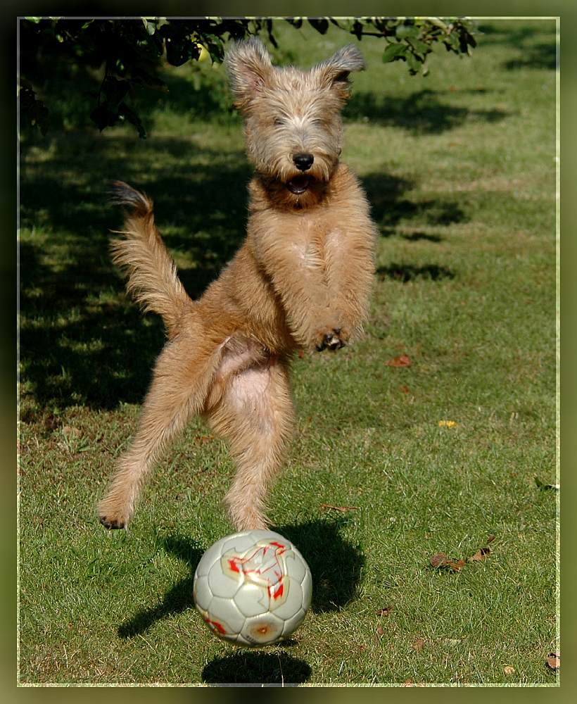 Romeo unser Fußball Held