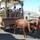 Romeria 3