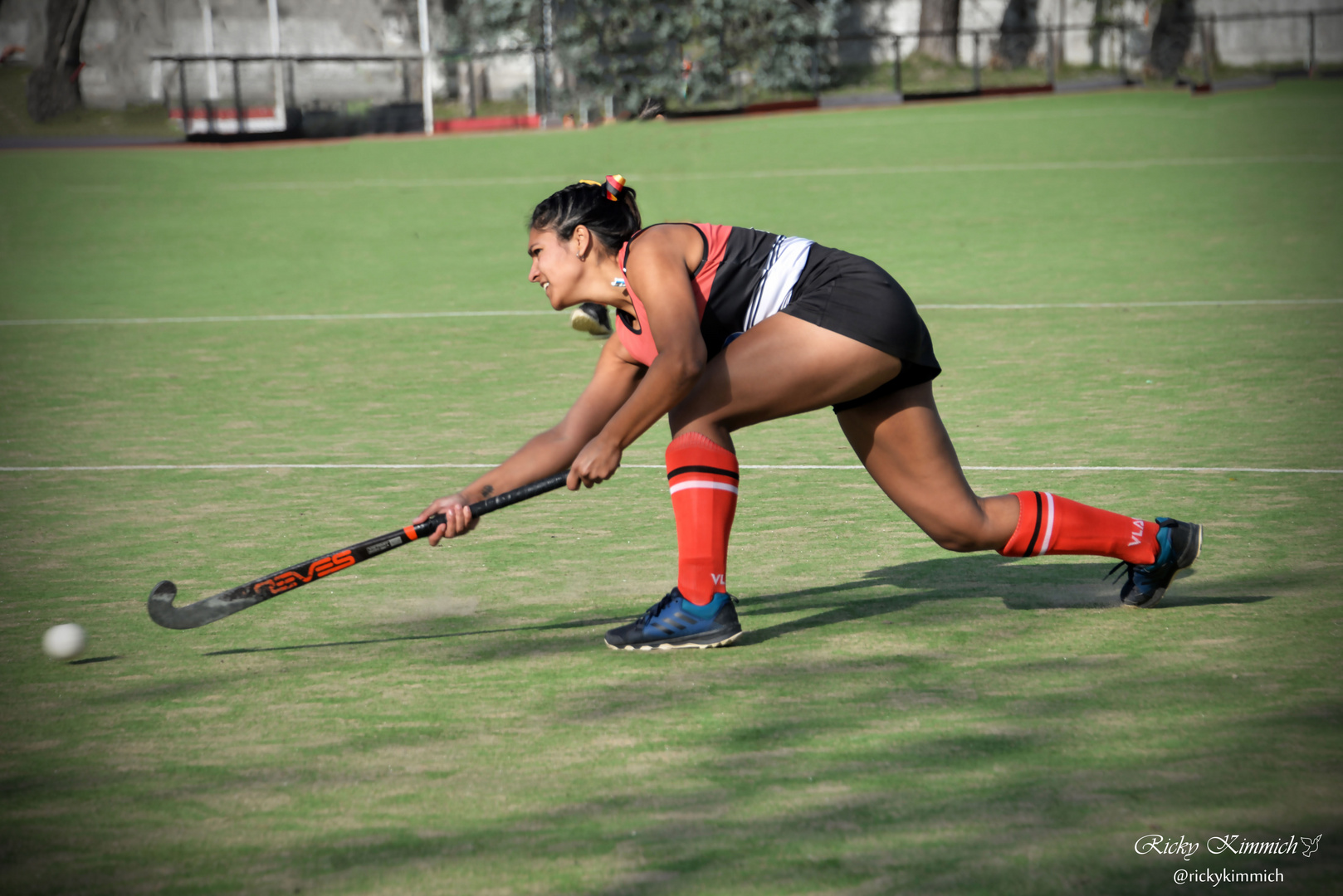 Romi y su Hockey