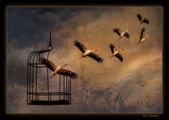 Rompiendo barreras...