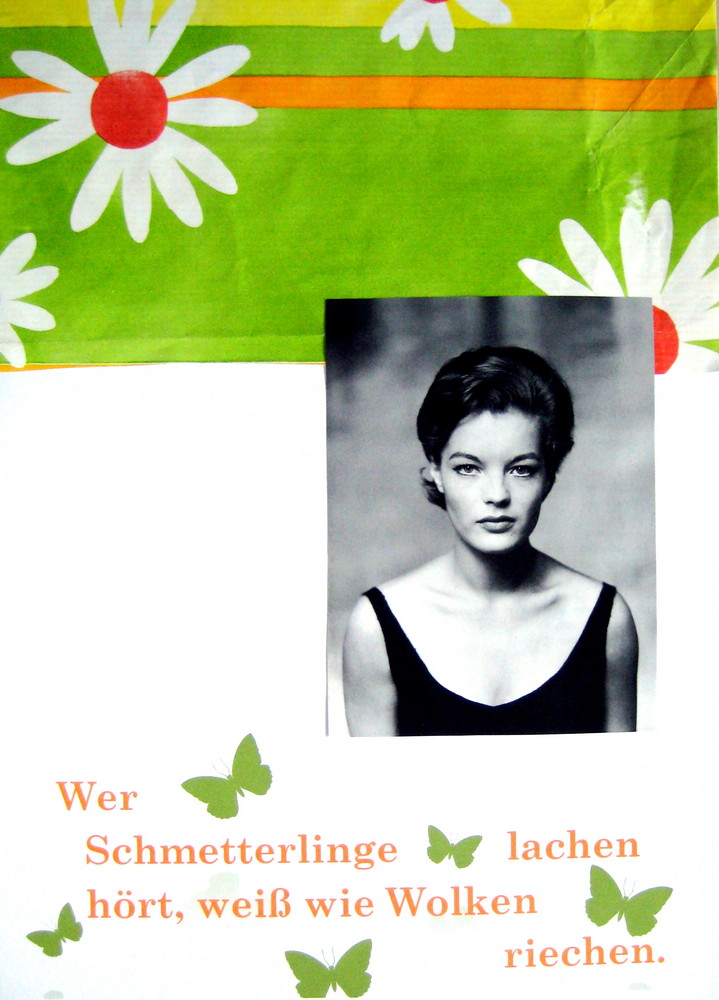 Romy und die Schmetterlinge