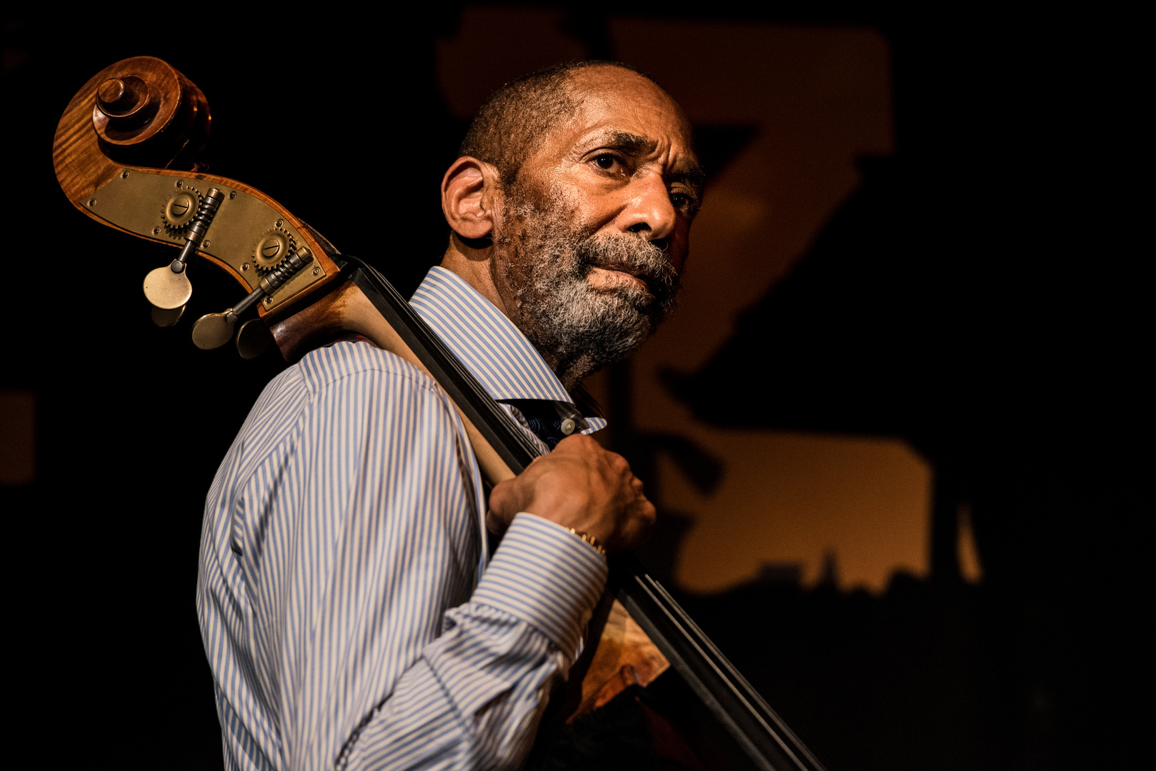 Ron Carter THE ONE AND ONLY Foto & Bild jazz, musik, kultur Bilder