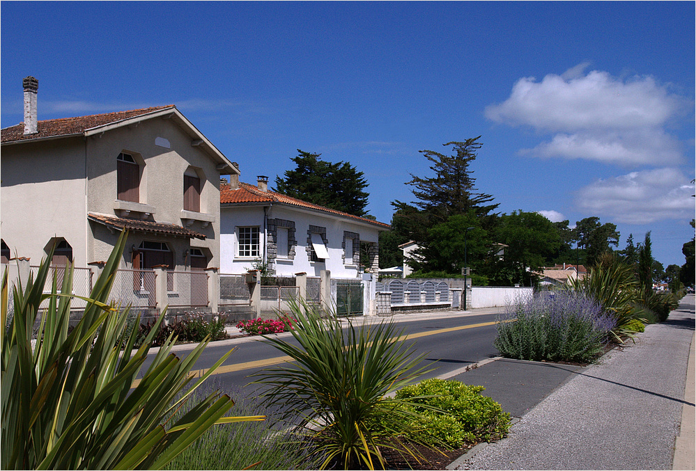 Ronce-les-Bains (Charente-Maritime) - Avenue de la Côte de Beauté