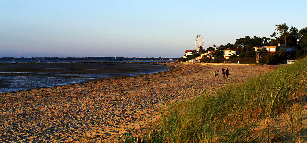 Ronce Les Bains Charente Maritime La Plage Et La Grand