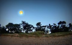 Ronce-les-Bains - Lever de pleine lune sur la dune