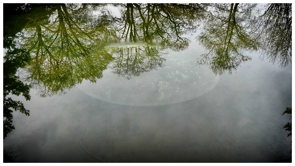 Rond dans l'eau