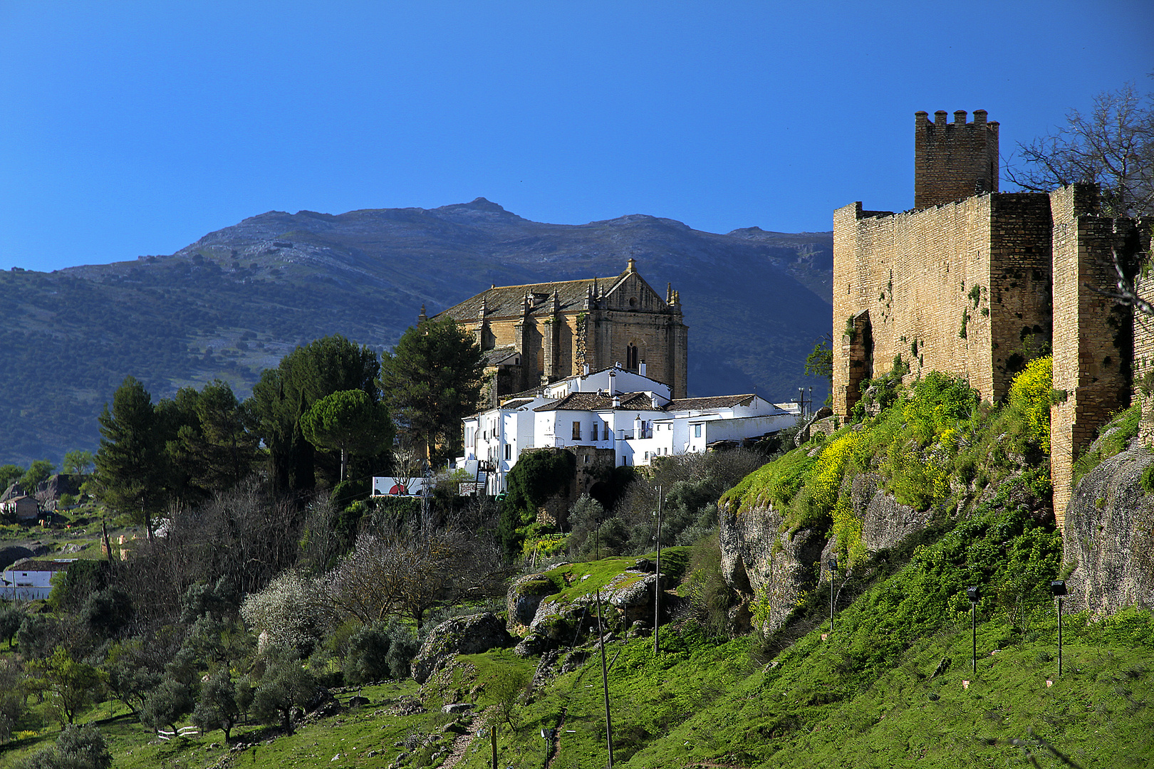 Ronda Iglesia