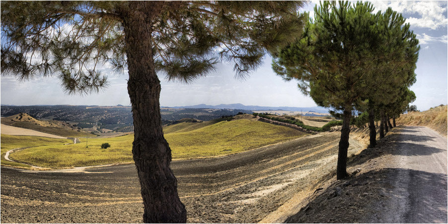 Ronda la Vieja