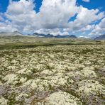 Rondane