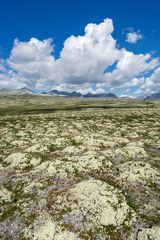 Rondane