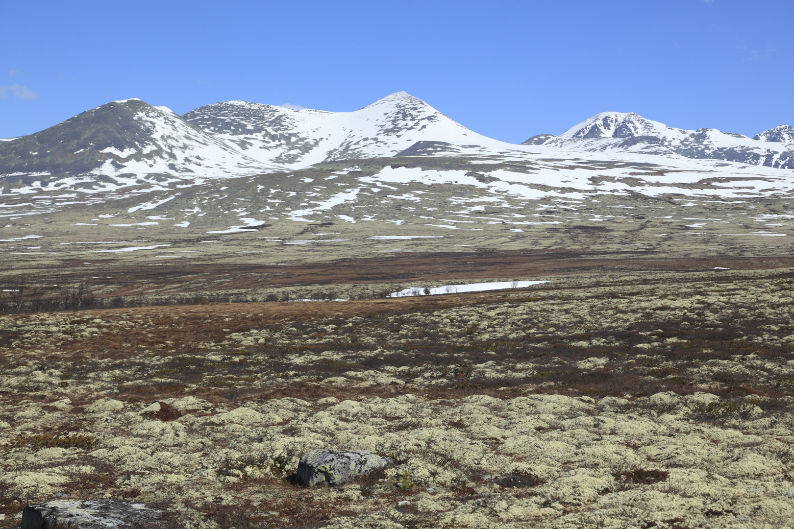 Rondane 1