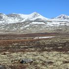 Rondane 1