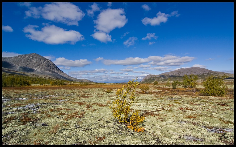 Rondane (2)