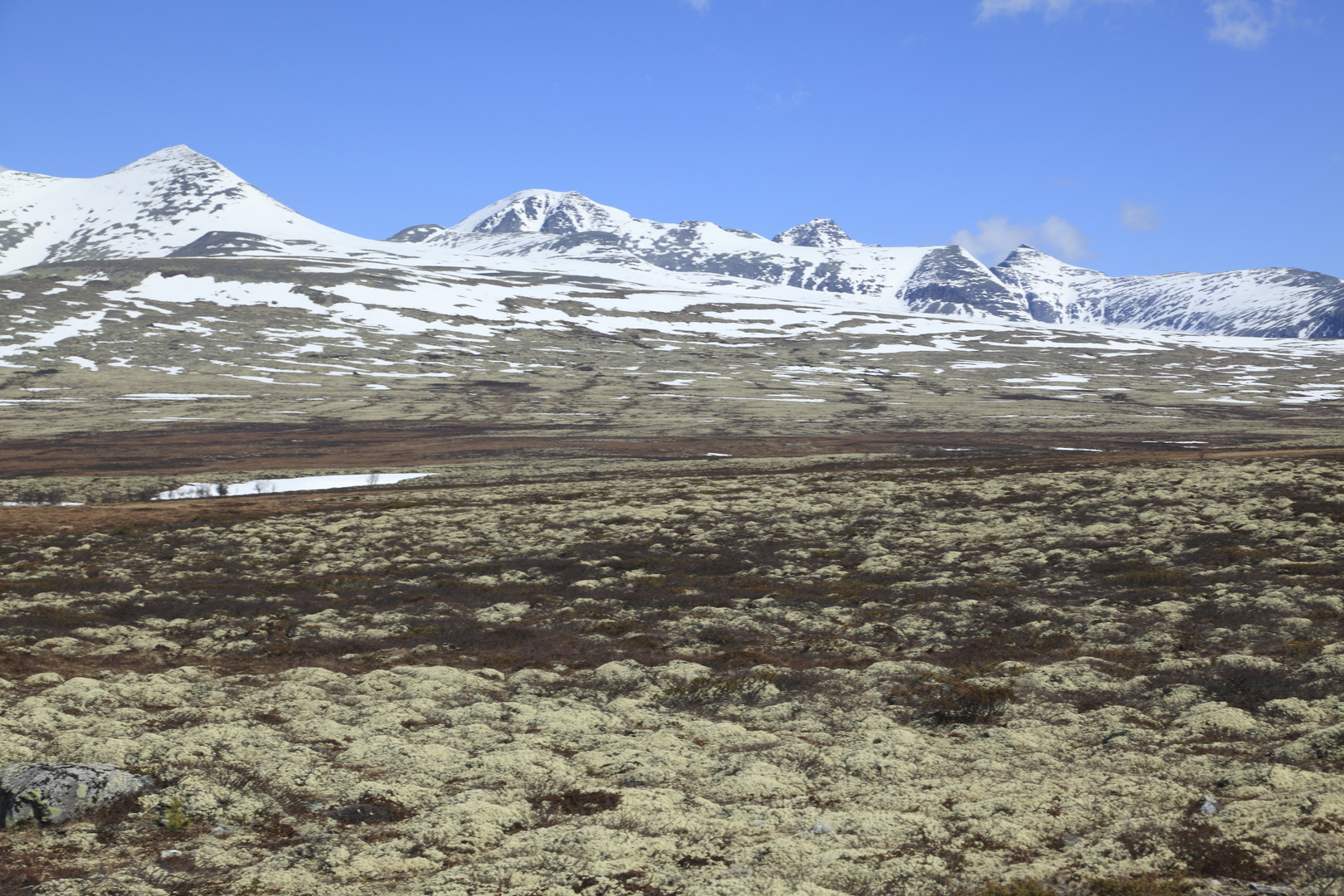 Rondane 2