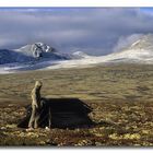 Rondane