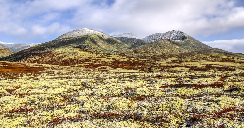 Rondane 