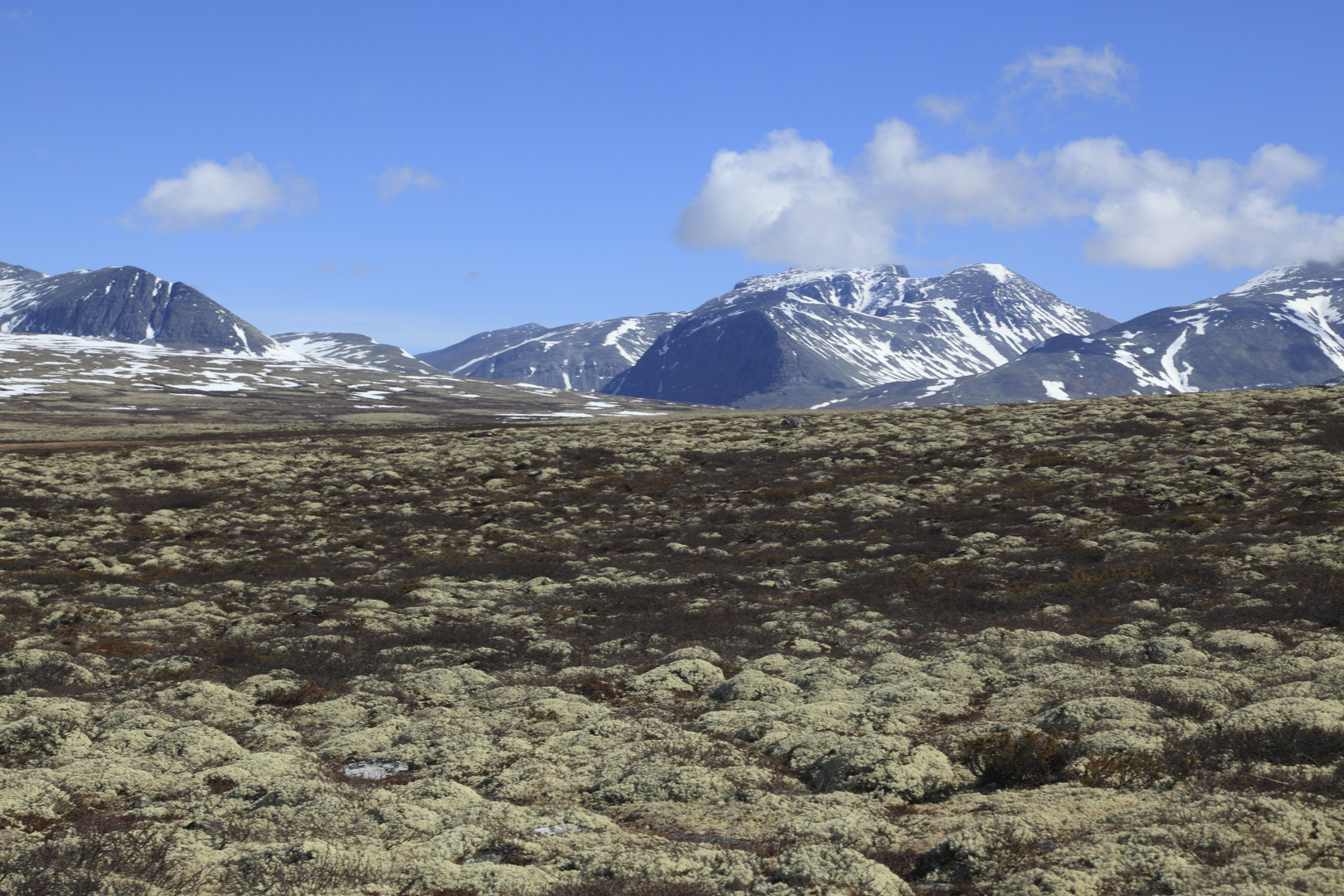 Rondane 4