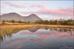 Rondane