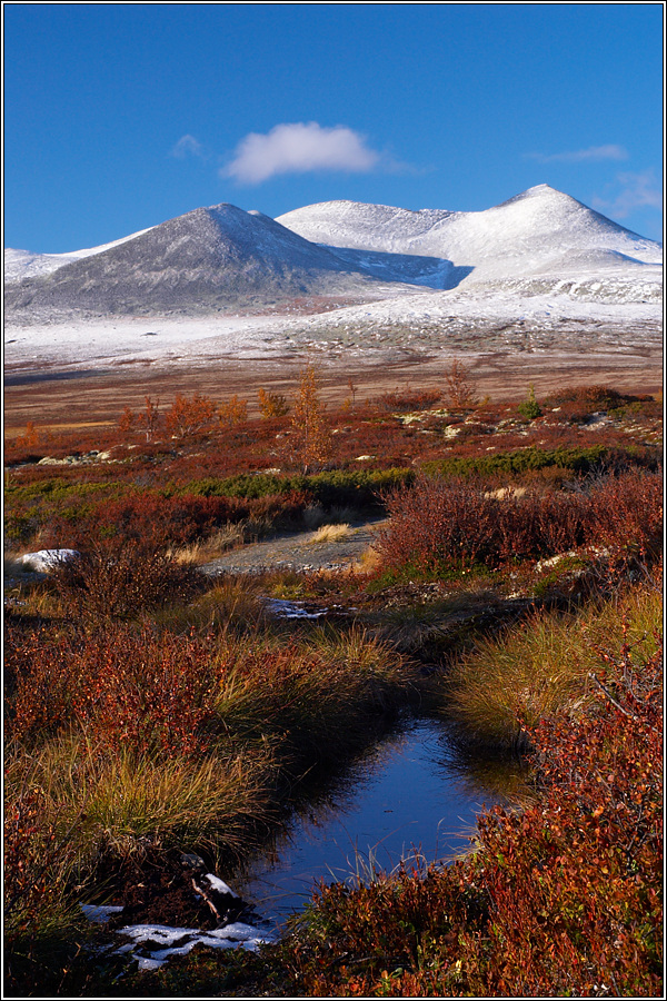 Rondane