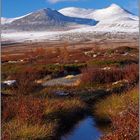 Rondane