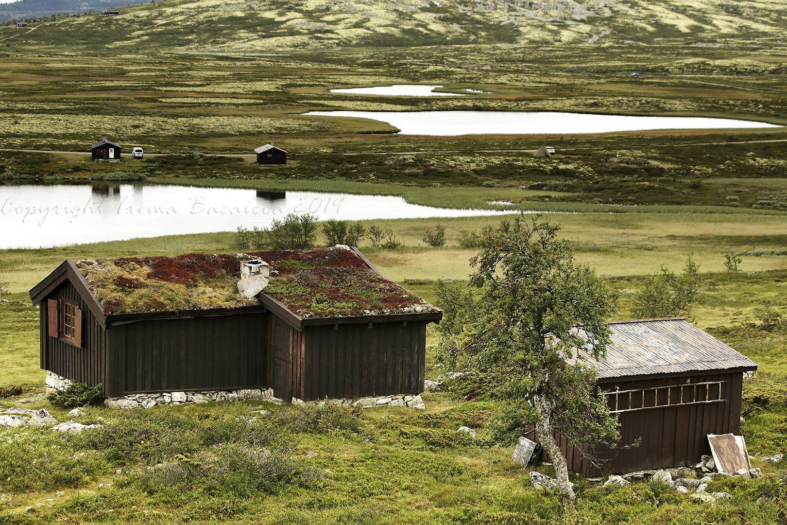 Rondane