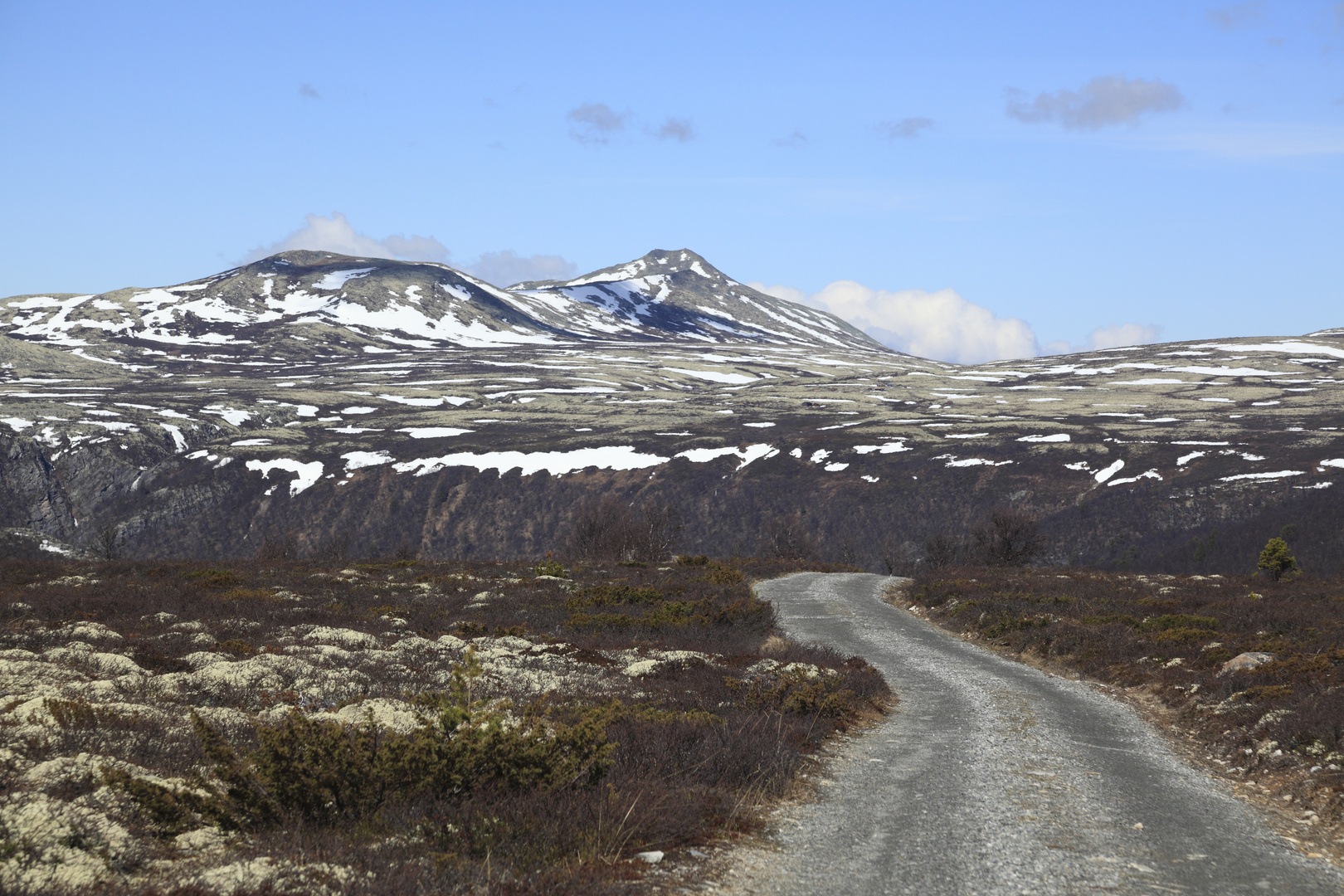 Rondane