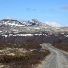 Rondane