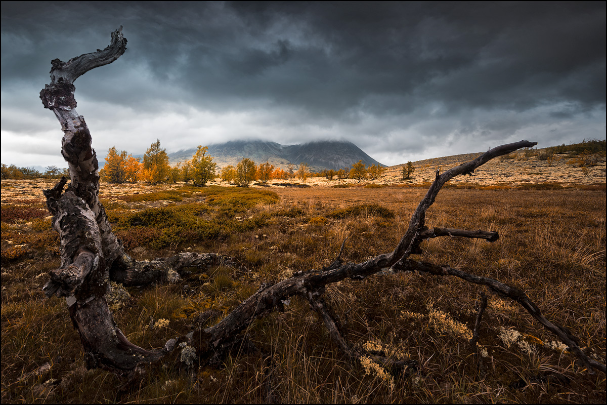 Rondane