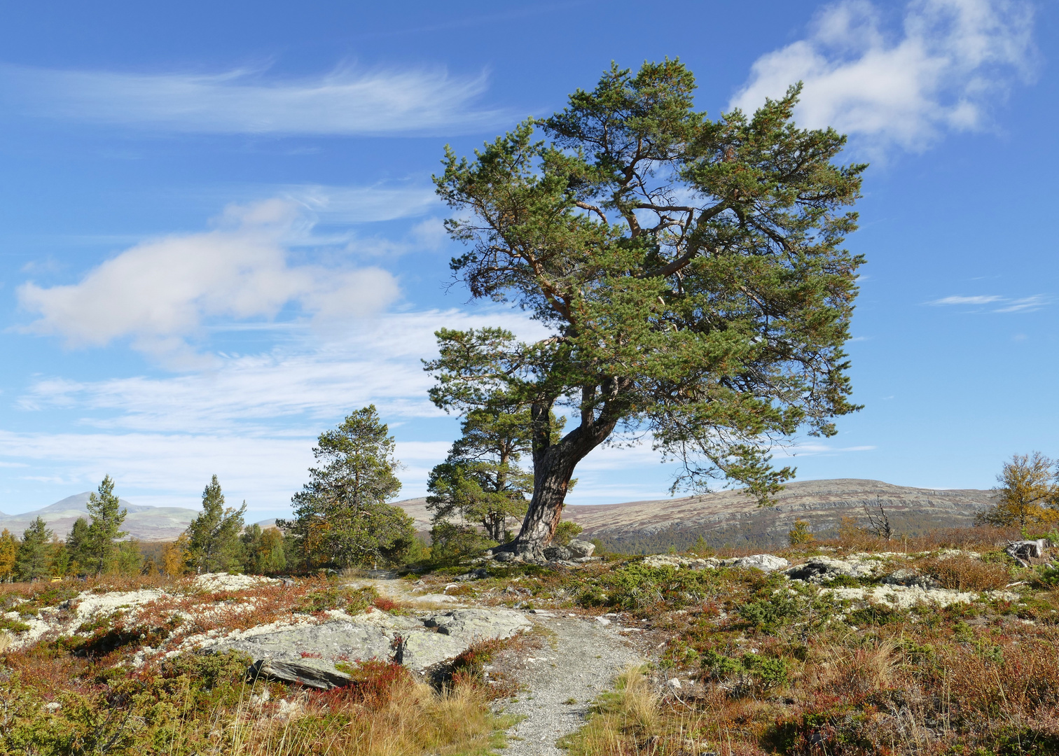 Rondane