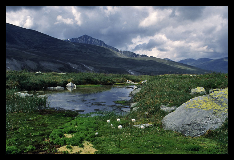 Rondane