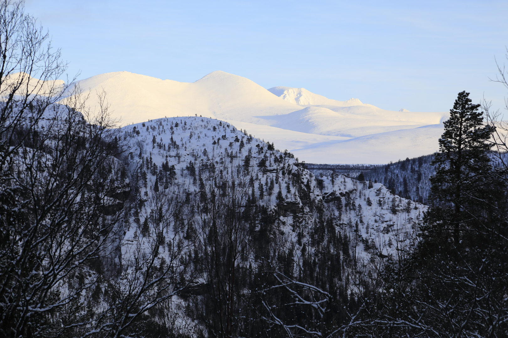 Rondane im Winter 7