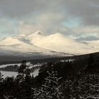 Rondane im Winter