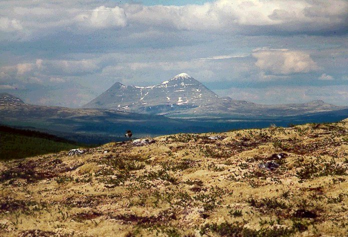 Rondane Nasjonalpark