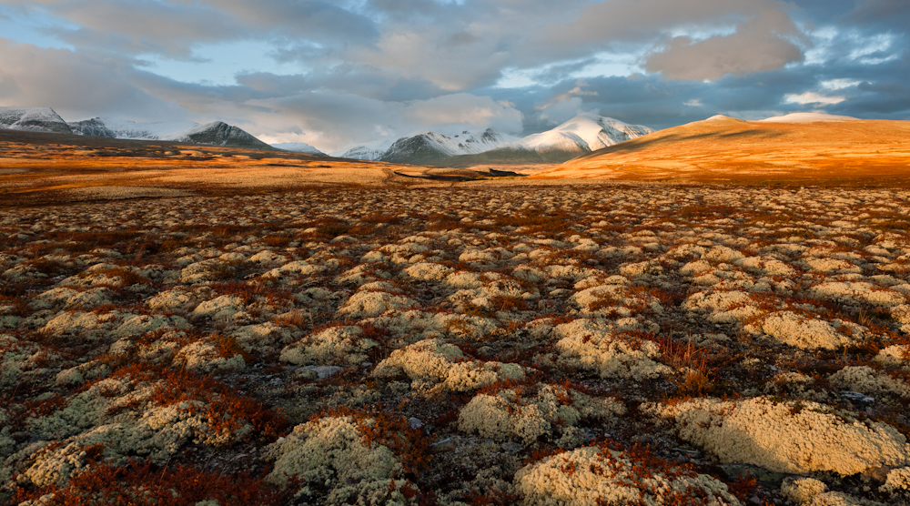 Rondane Nationalpark 1 zu 3